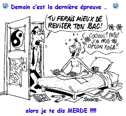 What does merde mean in the French phrase: Je te dis merde? - I wish you good luck!